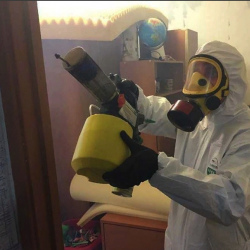Уничтожение клопов в квартире. Площадь Ильича